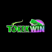 TOKEKWIN - Aplikasi Utility Terbaik untuk Mengoptimalkan Kinerja Anda